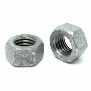 Pair of zinc plated hex nuts on a white background
