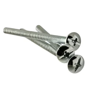 Pair of stainless steel screws on a white background