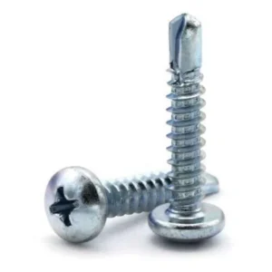 Pair of Phillips pan head self tapping screws on a white background