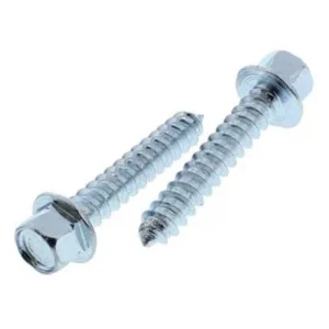 Pair of Phillips pan head self tapping screws on a white background