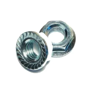 Pair of zinc plated steel hex nuts on a white background
