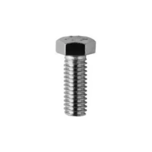 Stainless steel hex head cap screw with a hexagonal head and a nut