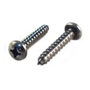 Pair of Phillips pan head self tapping screws on a white background