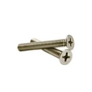 Pair of stainless steel Phillips pan head screws with a flat head and a phillips pan head