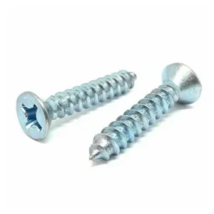 Pair of Phillips pan head self tapping screws on a white background
